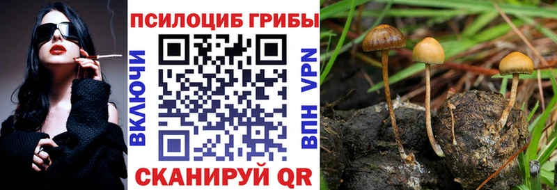 Купить  Югорск  Галлюциногенные грибы GOLDEN TEACHER 